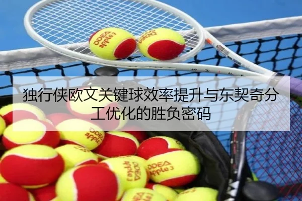 独行侠欧文关键球效率提升与东契奇分工优化的胜负密码